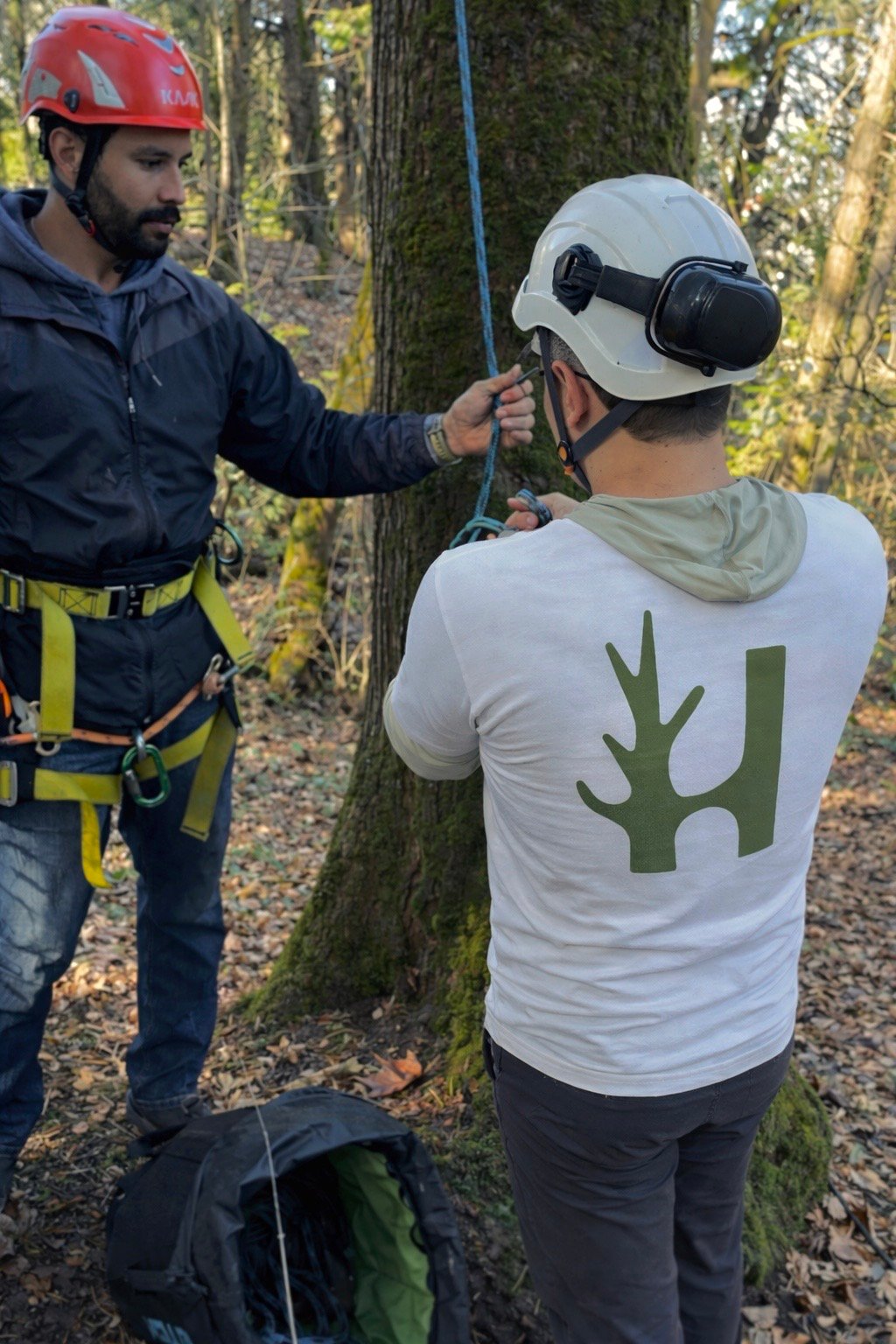 c5afa292 ec85 4f92 8f6e 8322907d2665