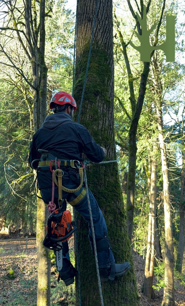 photo 2025 12 15 19 06 36