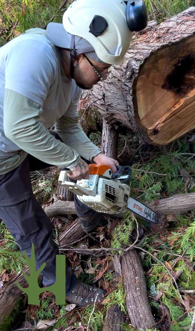 photo 2025 12 15 19 06 36