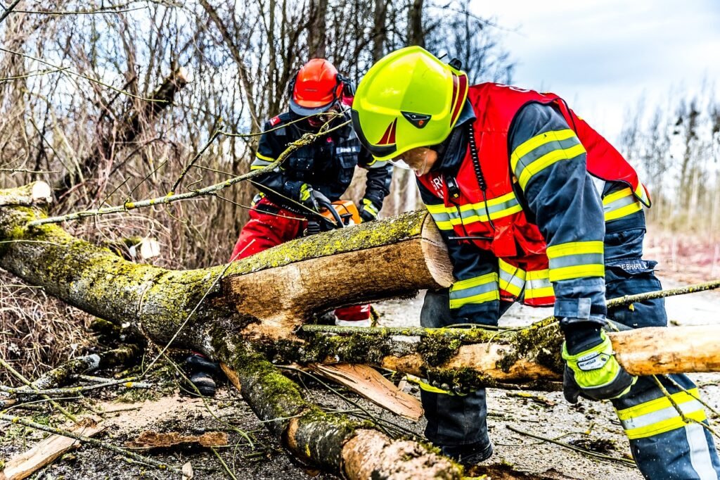 fire fighters, storm, nature, tree, wind, storm damage, fire service, firefighter