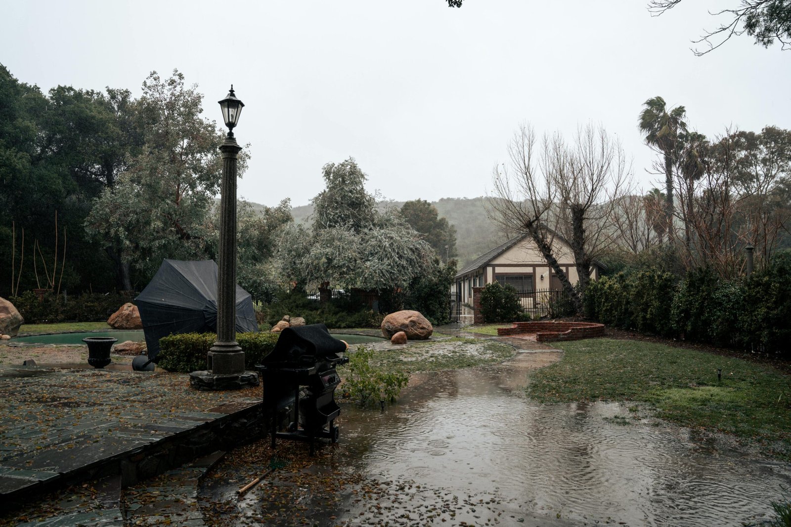 A stormy day view of a suburban backyard, showing a flooded area surrounded by trees and a house.